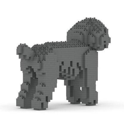 Toy Poodle 01-M06