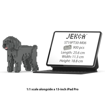 Toy Poodle 01-M06