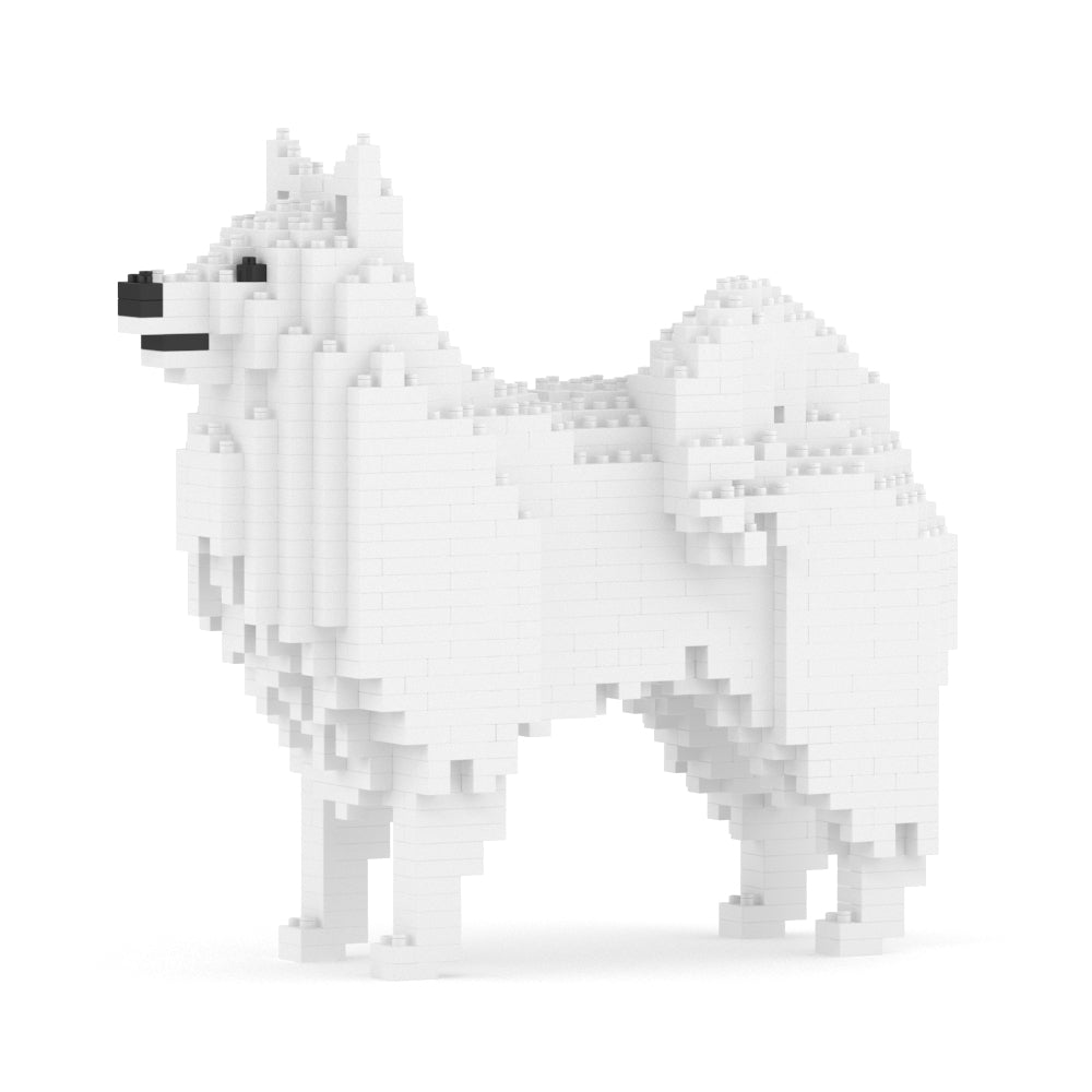 Japanese Spitz 01