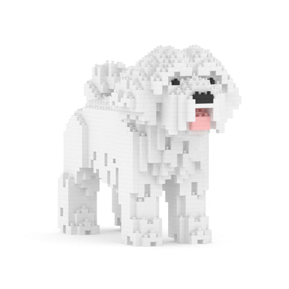 Maltese 01