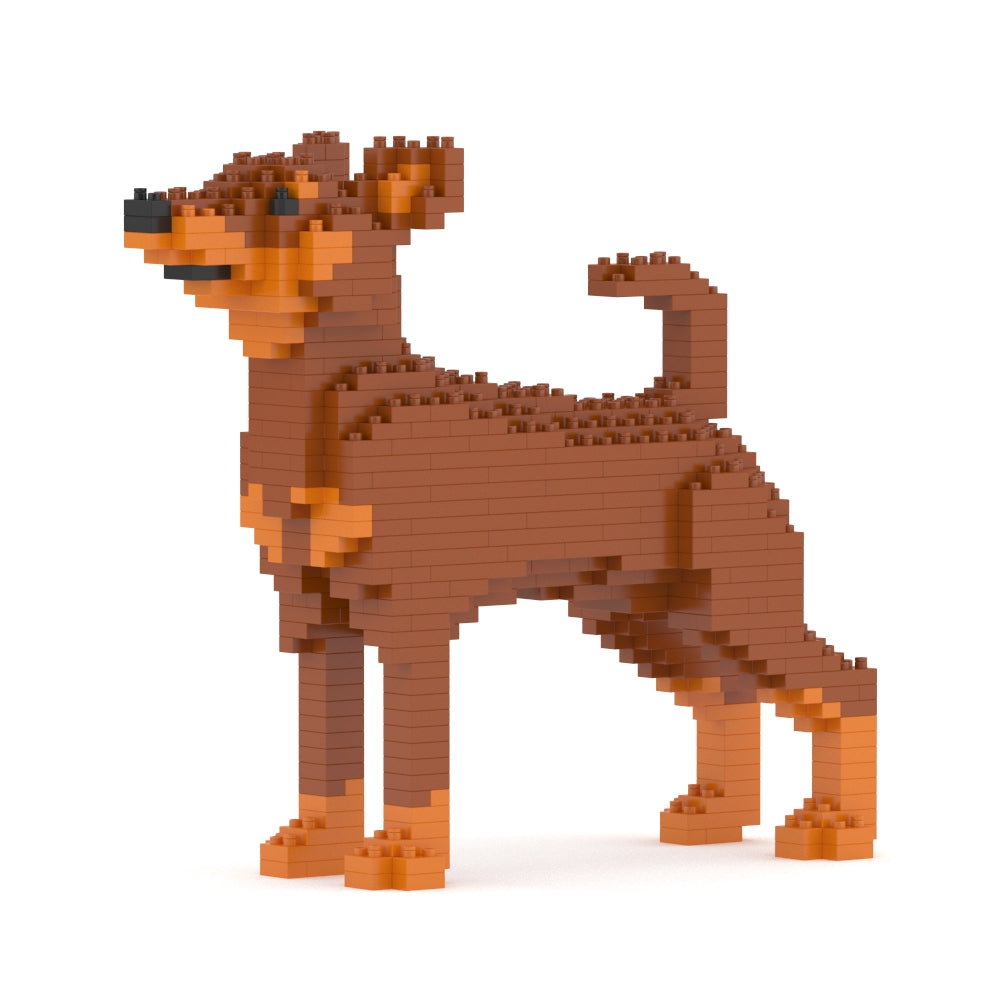 Miniature Pinscher 01-M02
