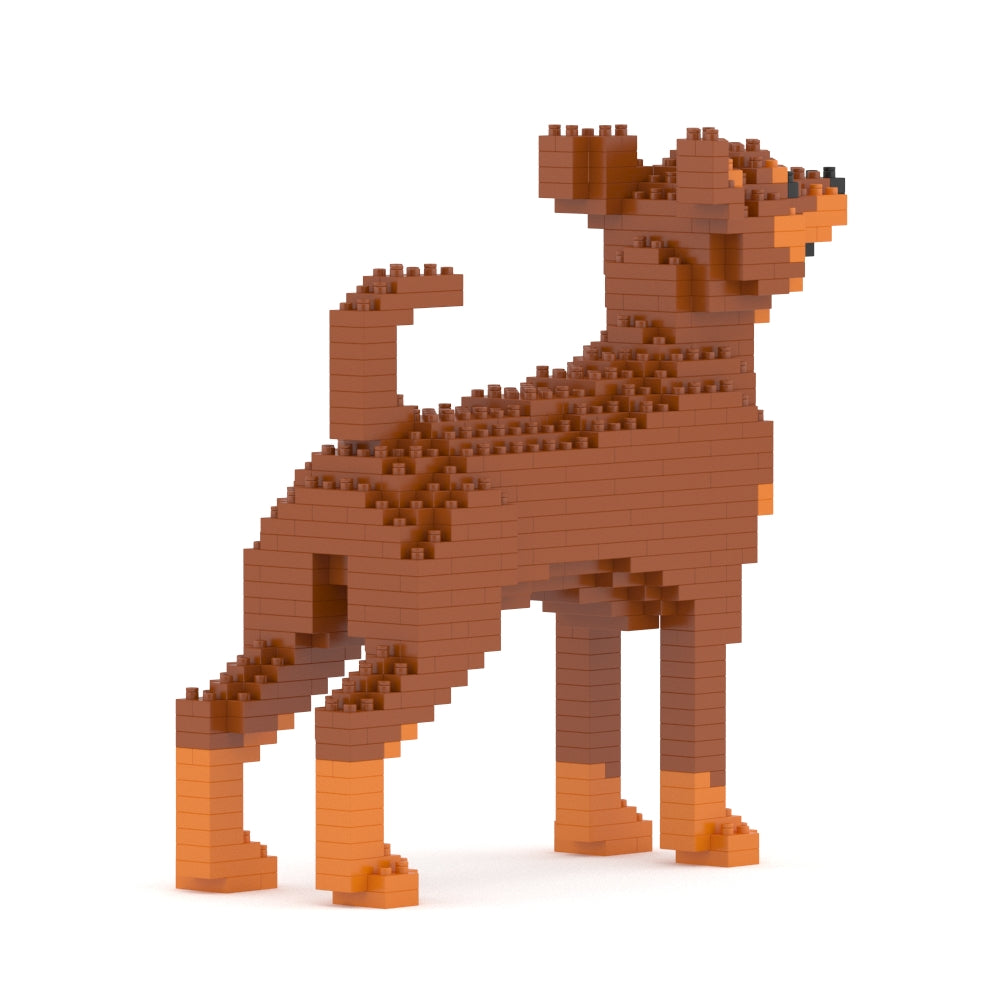 Miniature Pinscher 01-M02