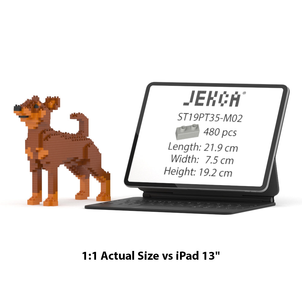 Miniature Pinscher 01-M02