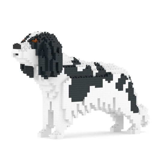 Cavalier King Charles Spaniel 01-M02