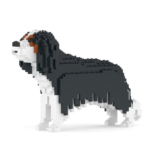 Cavalier King Charles Spaniel 01-M03