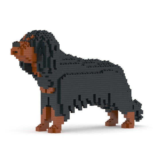 Cavalier King Charles Spaniel 01-M04