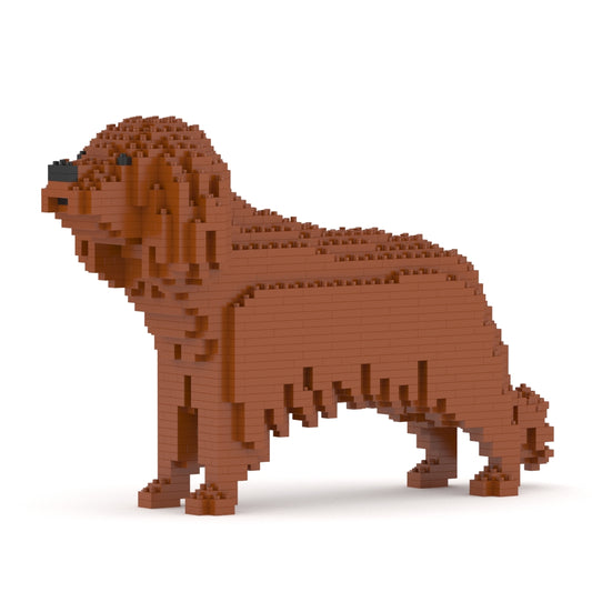 Cavalier King Charles Spaniel 01-M05