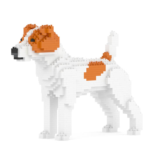 Jack Russell Terrier 01-M01