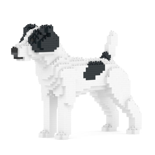 Jack Russell Terrier 01-M02