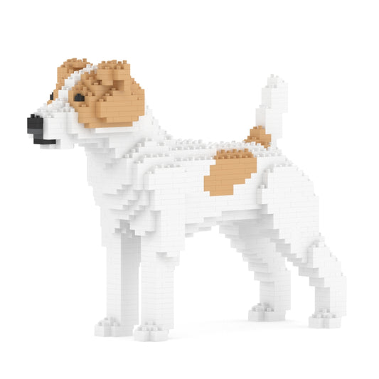 Jack Russell Terrier 01-M03