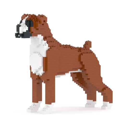 Boxer 01-M01