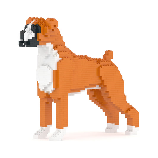 Boxer 01-M02