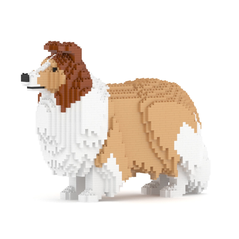 Shetland Sheepdog 02-M01