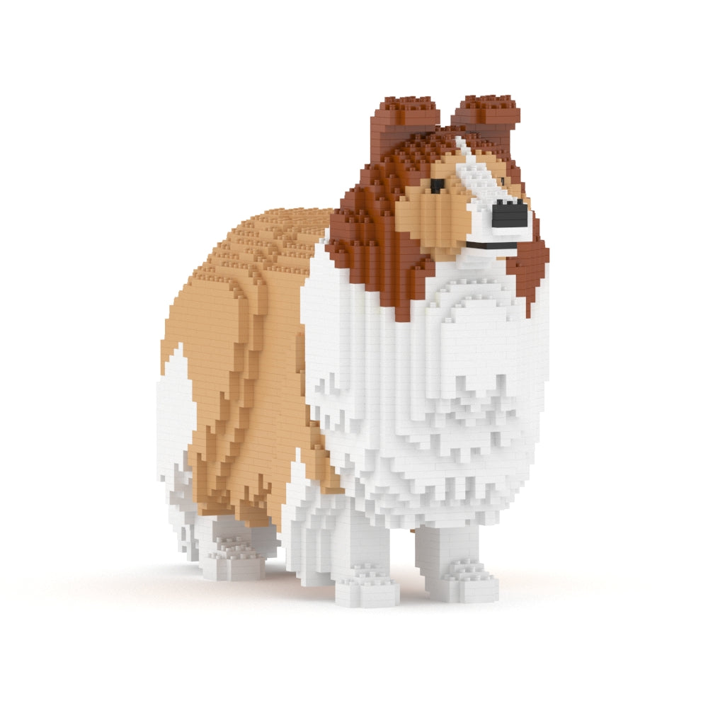 Shetland Sheepdog 02-M01