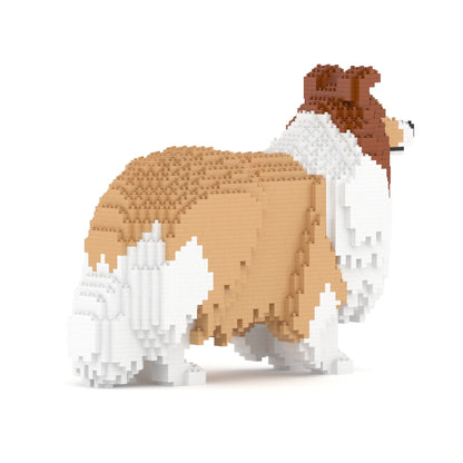 Shetland Sheepdog 02-M01