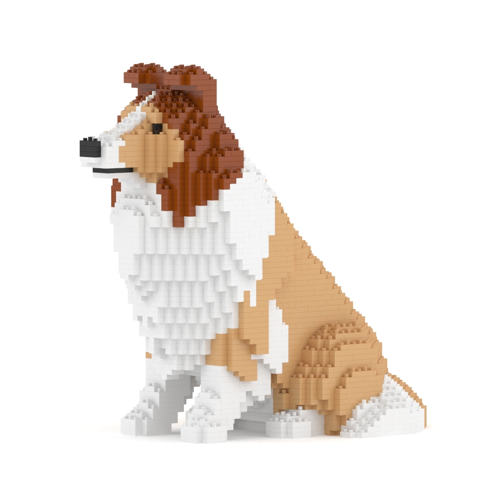 Shetland Sheepdog 03-M01
