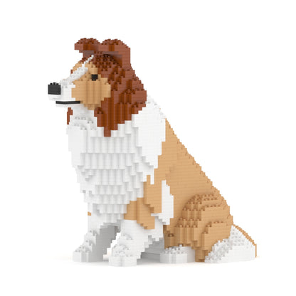 Shetland Sheepdog 03-M01