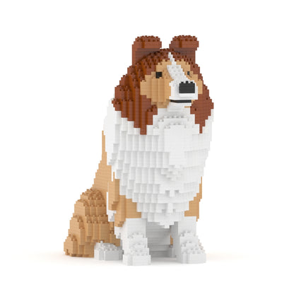 Shetland Sheepdog 03-M01