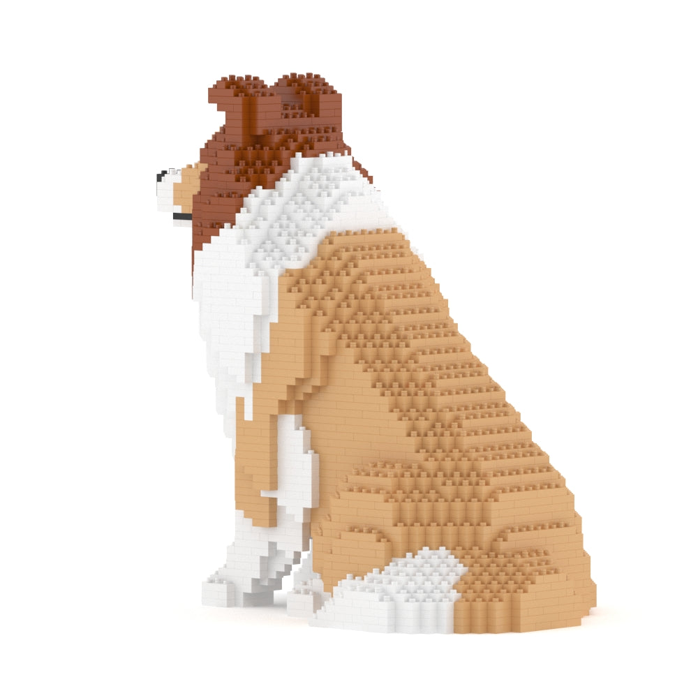 Shetland Sheepdog 03-M01