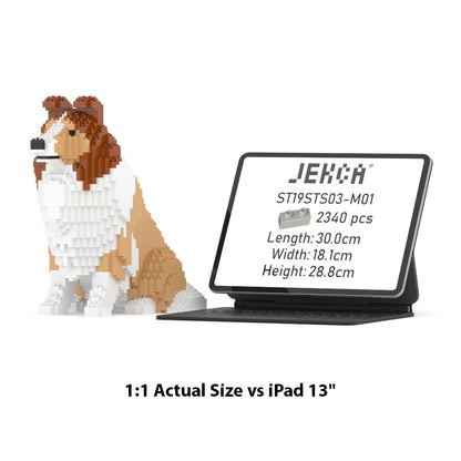 Shetland Sheepdog 03-M01