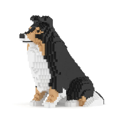 Shetland Sheepdog 03-M02