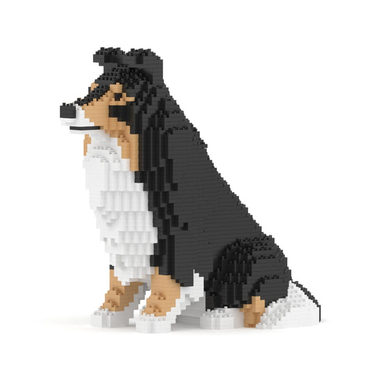 Shetland Sheepdog 03-M02