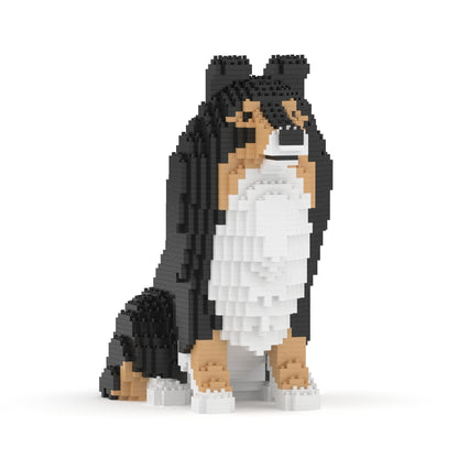 Shetland Sheepdog 03-M02