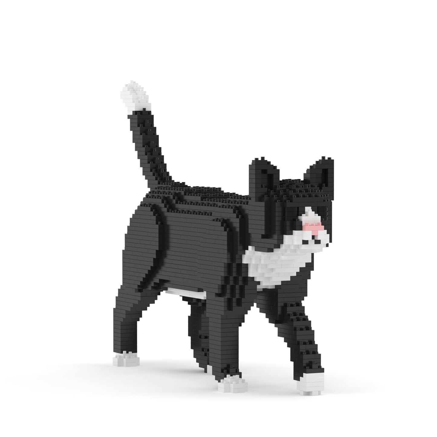 Tuxedo Cat 02SB