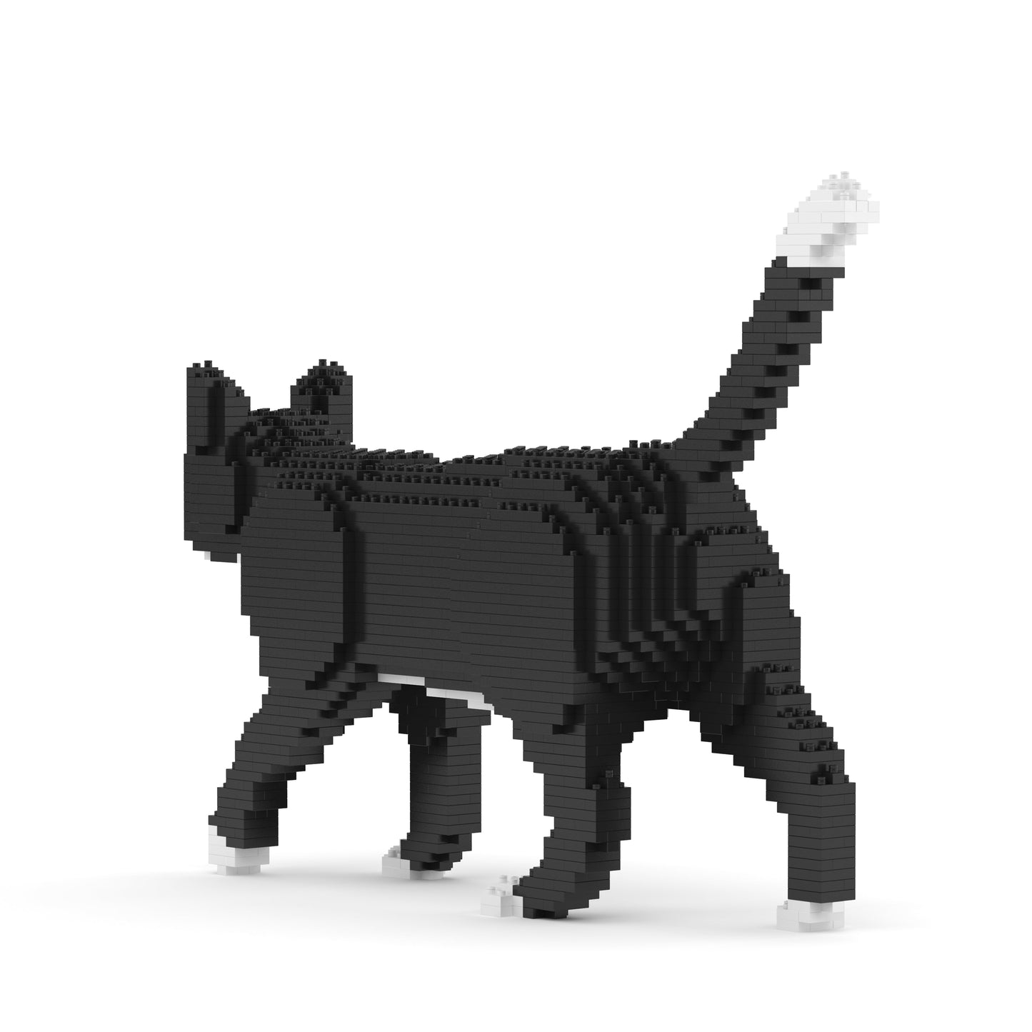 Tuxedo Cat 02SB