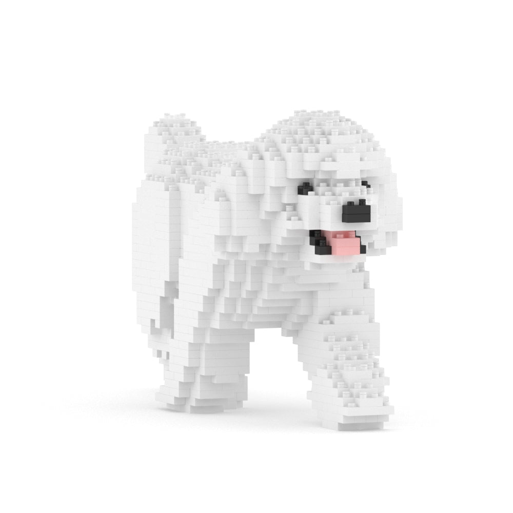 Toy Poodle 02-M01