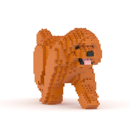 Toy Poodle 02-M04