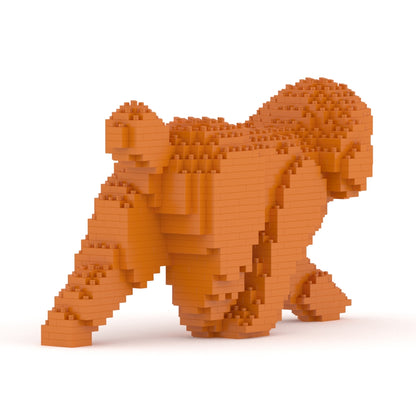 Toy Poodle 02-M04