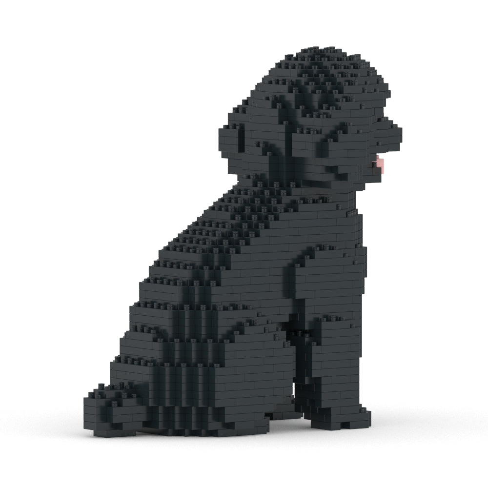 Toy Poodle 03-M02
