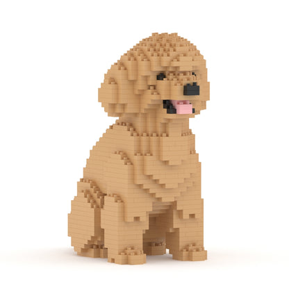 Toy Poodle 03-M03