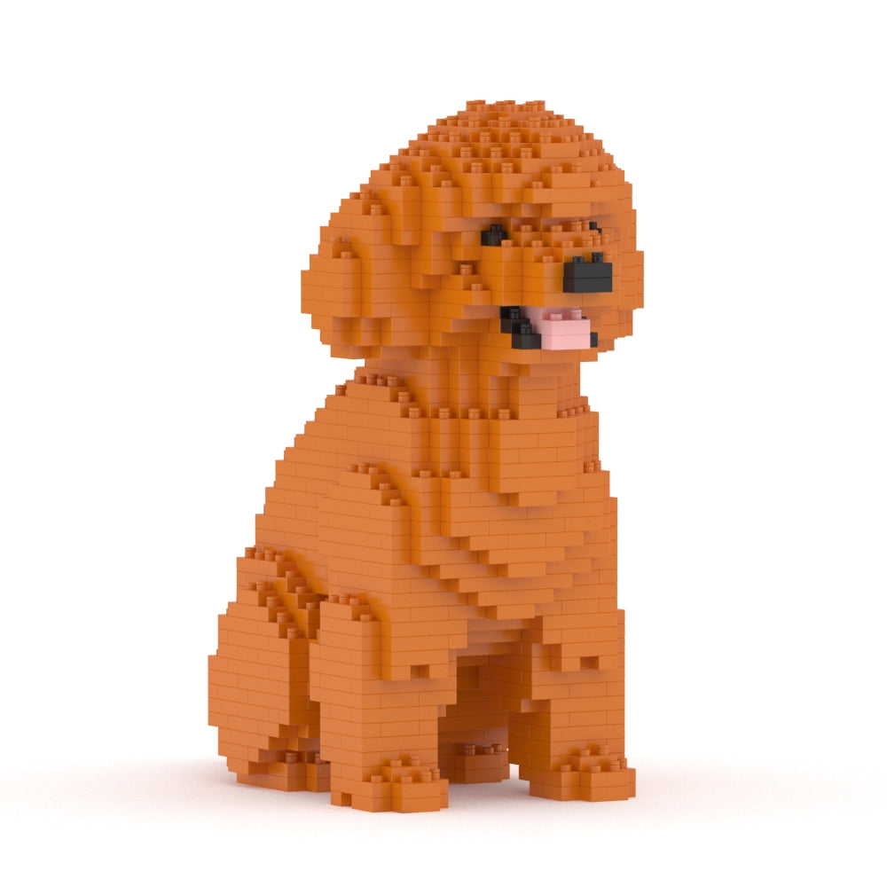 Toy Poodle 03-M04