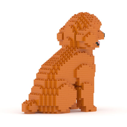 Toy Poodle 03-M04