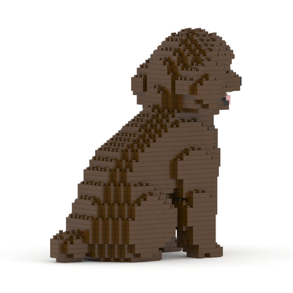 Toy Poodle 03-M05