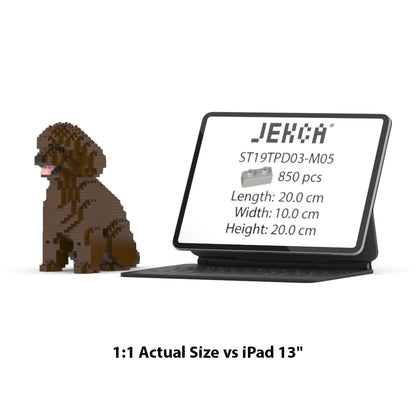 Toy Poodle 03-M05