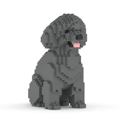 Toy Poodle 03-M06