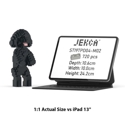 Toy Poodle 04-M02