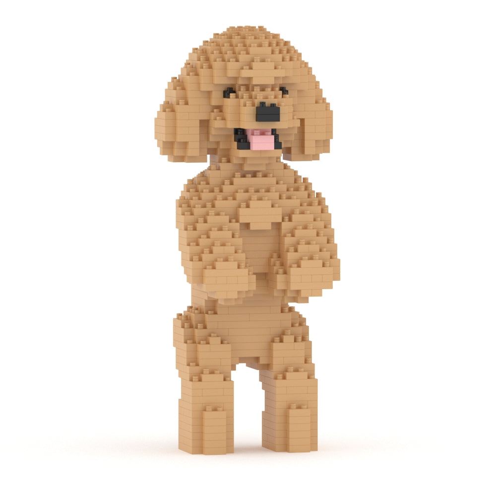 Toy Poodle 04-M03