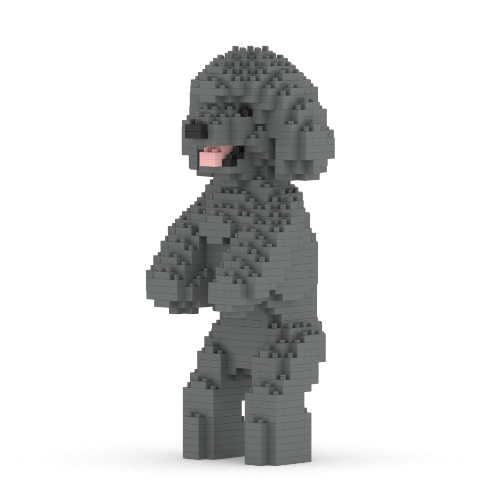 Toy Poodle 04-M06