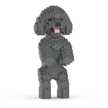 Toy Poodle 04-M06