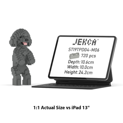 Toy Poodle 04-M06