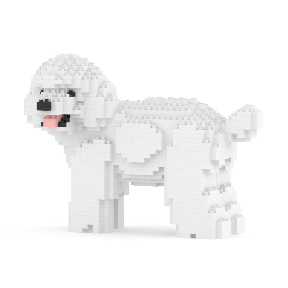 Toy Poodle 05-M01