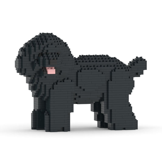 Toy Poodle 05-M02