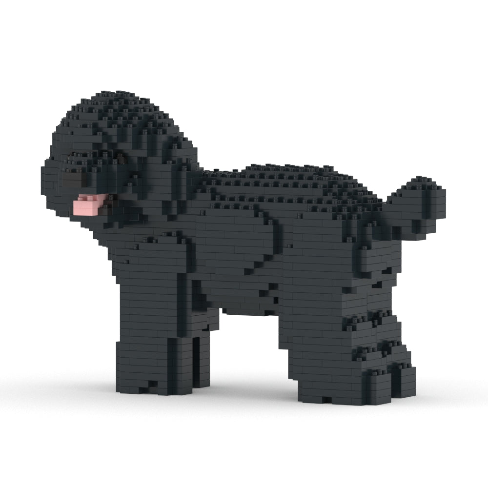 Toy Poodle 05-M02