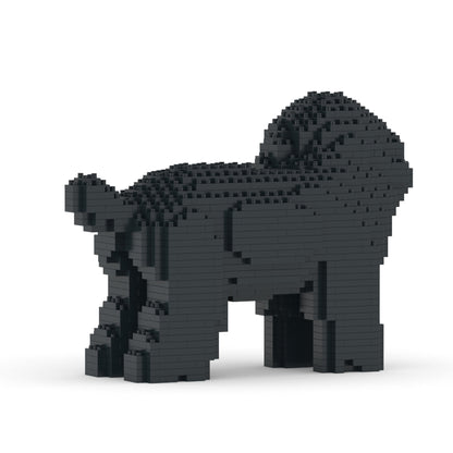Toy Poodle 05-M02