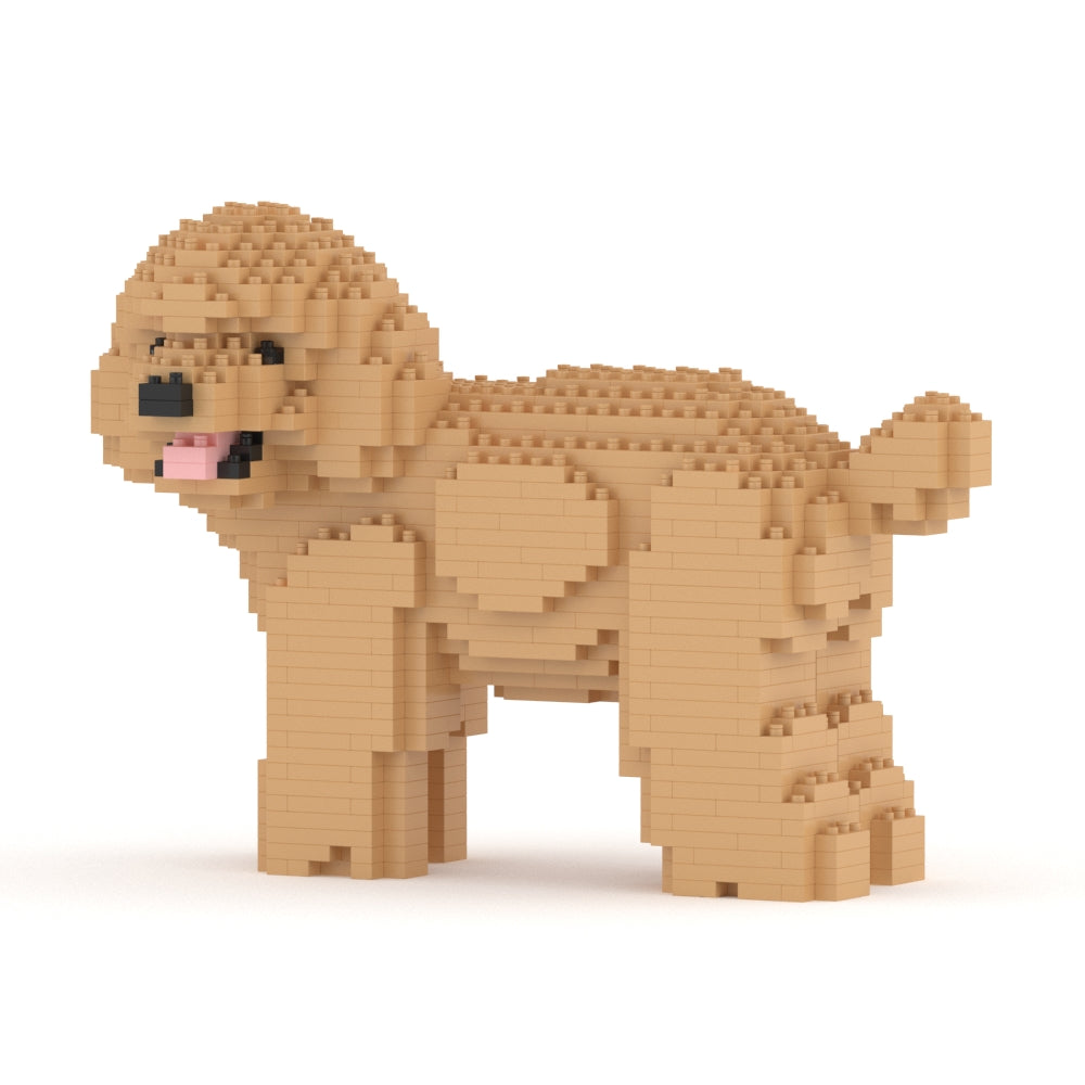 Toy Poodle 05-M03