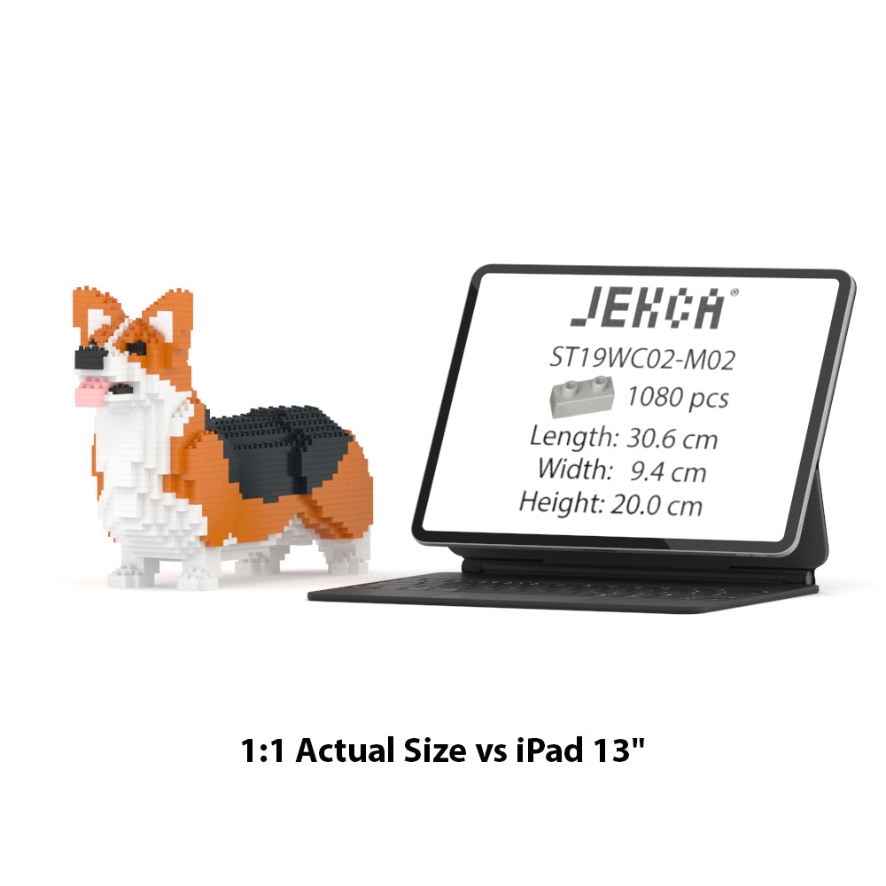 Welsh Corgi 02-M02
